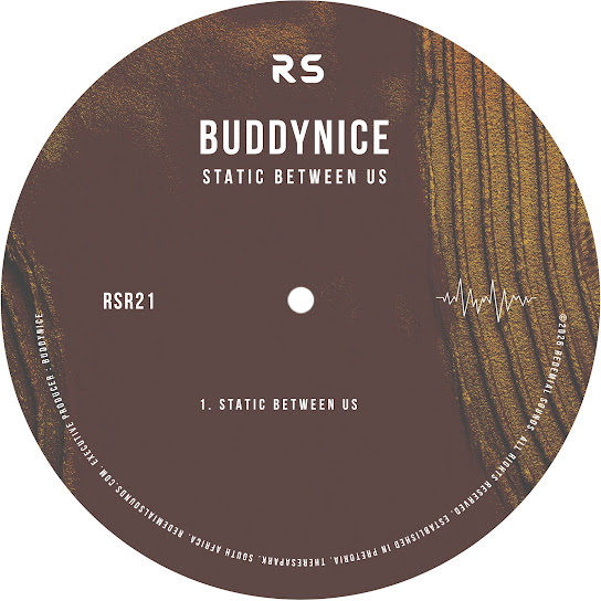 Buddynice - Static Between Us