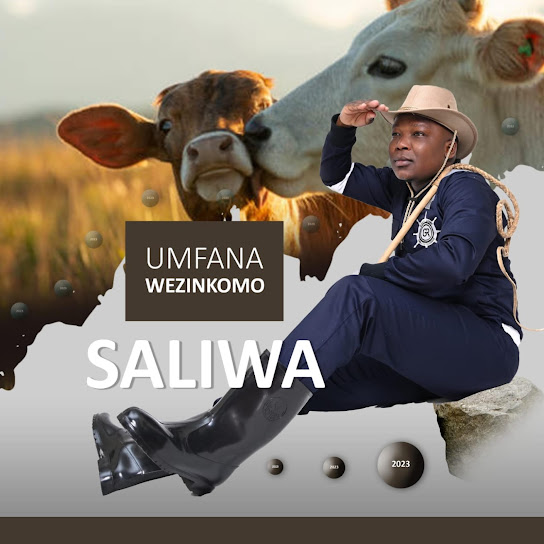 Saliwa - Amakhansela ayasebenza