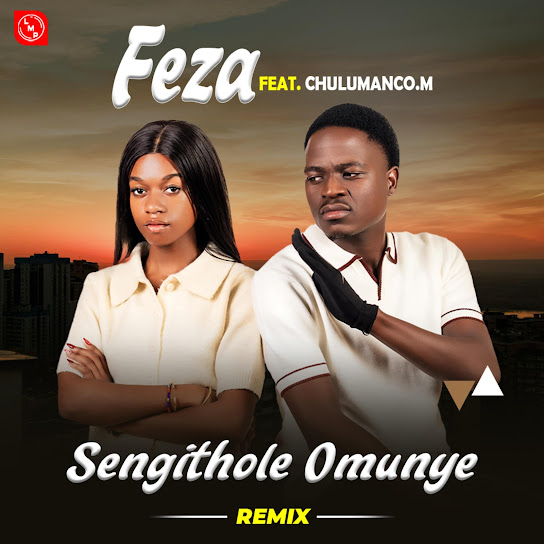 Feza - Sengithole Omunye (Remix )