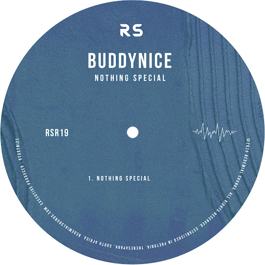 Buddynice - Nothing Special