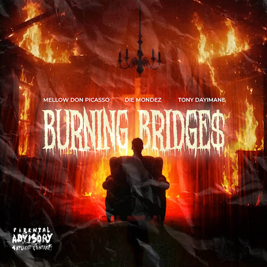 Mellow Don Picasso - Burning Bridge$